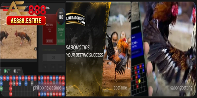 Cách Đặt Cược Đá Gà Thắng